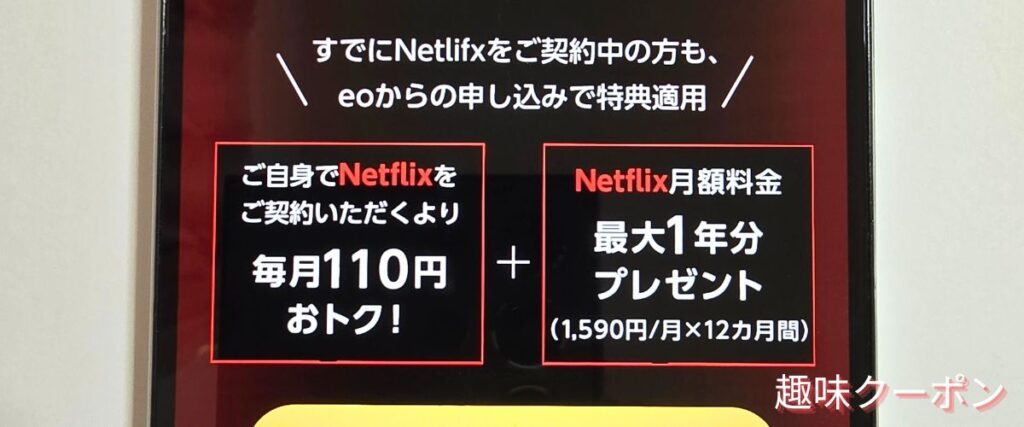 eo光(イオ光)のネットフリックスパック