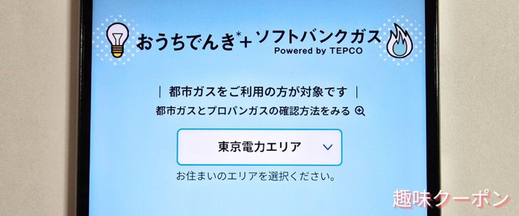 おうちでんきのガスセット割